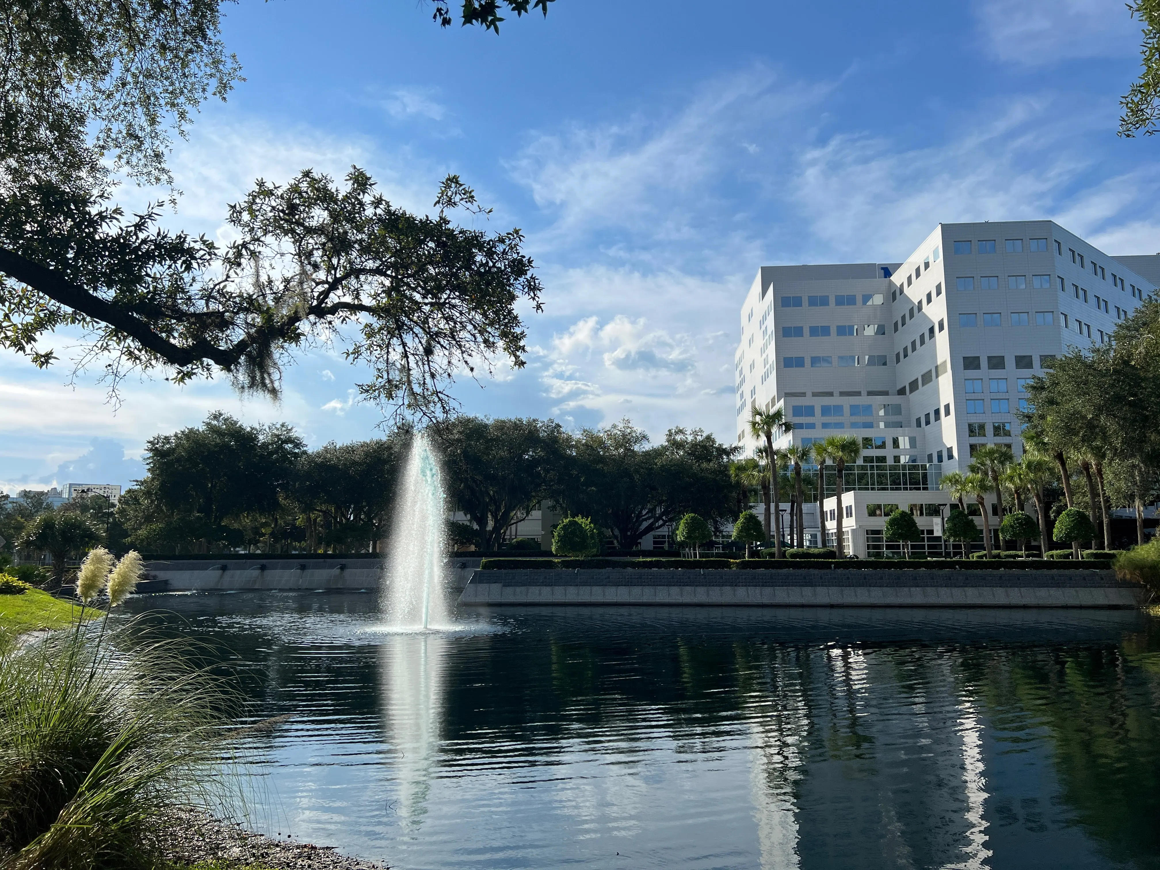A fountain beside a lake